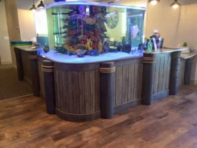 Kidz-Dental-Works-7